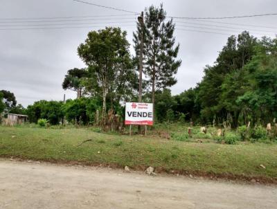Terreno para Venda, em Irati, bairro Lagoa